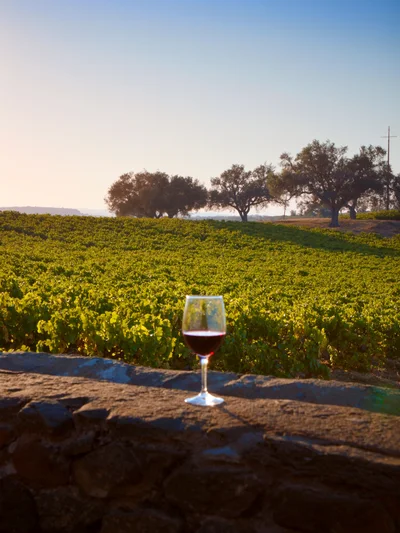 Alentejo vineyards